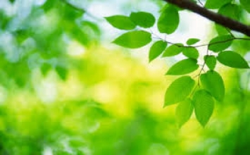 Thế nào là sự tu tập